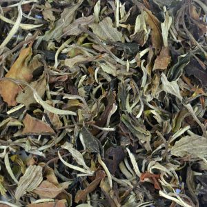 Thé blanc Jing Maï Baï Cha provenant du sud de la province du Yunnan en Chine.